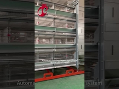 Reihen-Hühnerkäfig 2.40m* 2.60m* 2.0m Rose der Schicht-Geflügelfarm-Ausrüstungs-4