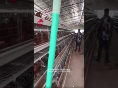 A- oder H-Typ 3- oder 4-stöckiger Hühnerbatteriekäfig für die Geflügel-Hühnerfarm Doris