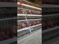 Galvanisierter A Typ 3 / 4-Tier-Hühnerbatteriekäfig für Geflügel-Hühnerfarm Doris