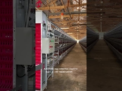 Schlüsselfertiges Projekt Automatisches Geflügel-Batteriekäfigsystem 3 Stufen 450cm2 Stern