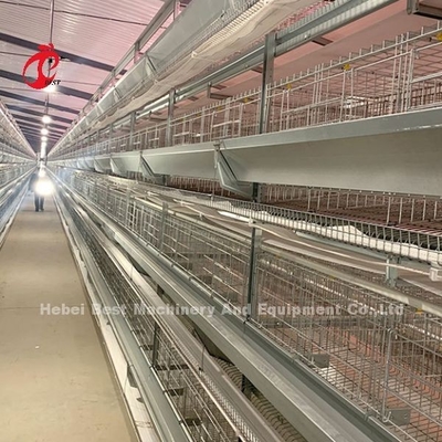Hot Dip Galvanisiertes Geflügelkäfigsystem Weiße Schicht