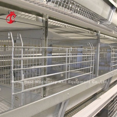 Hühner 12 Zellen Schicht Batterie Käfig System 4 Stufe für die Farm Adela