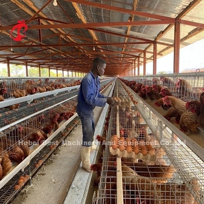 Bauen Sie leicht 2.4mm Huhn zusammen, das Batterie einen Rahmen Emily galvanisierte