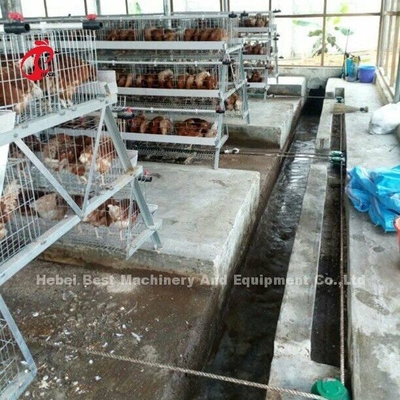 Selbstdas drei Phasen-Geflügel-Düngemittel-Schaber-Maschine entfernen Huhn überschüssige Sandy
