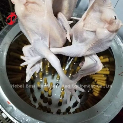 Hühnerfeder des Geflügelfarm-Schlachthaus-1100w, die Maschine in Nigeria Doris zupft