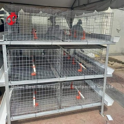 A oder h-Art Brathühnchen sperren 96 die gereifte Bratrost-Kapazität Emily ein