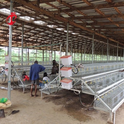 CER eine Art 120 Vögel Chick Rearing Cage With Drinkers und Zufuhren spielt die Hauptrolle