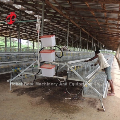 CER eine Art 120 Vögel Chick Rearing Cage With Drinkers und Zufuhren spielt die Hauptrolle