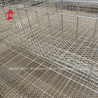 Galvanisierte a- oder h-Art Brathühnchen-Käfig für einen ein-Tag-alt zum erwachsenen Huhn Doris