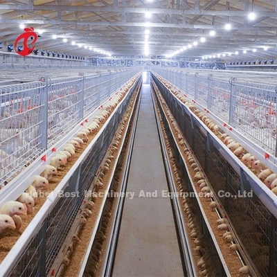 Galvanisierte a- oder h-Art Brathühnchen-Käfig für einen ein-Tag-alt zum erwachsenen Huhn Doris