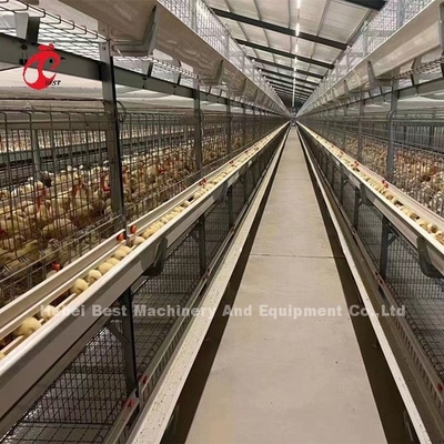 Und h-Geflügel-Bratrost-Käfig, der Ausrüstung für eine-Tag-alt Küken Sandy anhebt