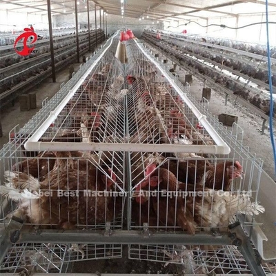 Aufzuchtkäfig Geflügelfarm Aufzuchtgeräte Sandy