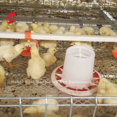 Ein Typ Broiler Hühnerkäfig und Farm Geflügelhaus Gebäudedesign Mia