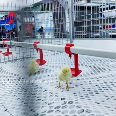96 Vögel eine Art - 1 - 12 Wochen-Chick Brooder Cage In Chicken-Bauernhof Doris