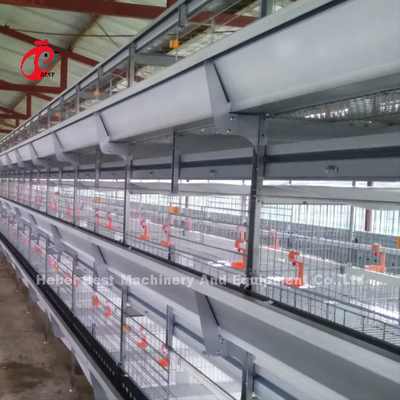 Automatisches Schicht-Geflügel-Käfig-Huhn, das Fertighaus-komplette Lösungen Rose bewirtschaftet