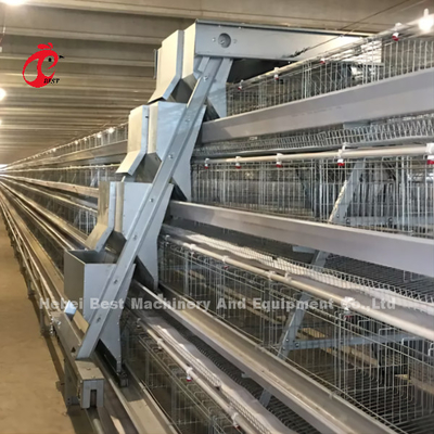 Automatisches Schicht-Geflügel-Käfig-Huhn, das Fertighaus-komplette Lösungen Rose bewirtschaftet