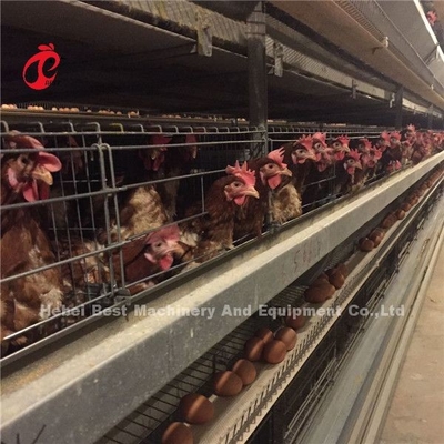 Gewerblicher Broiler Hühner Geflügel Fleisch Batterie Käfig System Ada