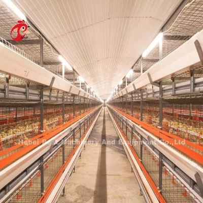Intelligentes Geflügel-Batterie-System halb automatisch und automatisch für Bratrost-Iris