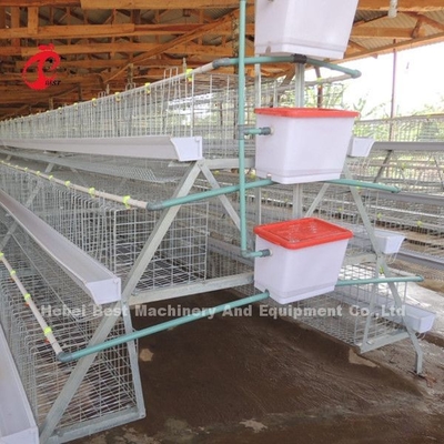Deluxes 120 Vogel-Geflügel-Batterie-System 5 Zellen galvanisierter Doris