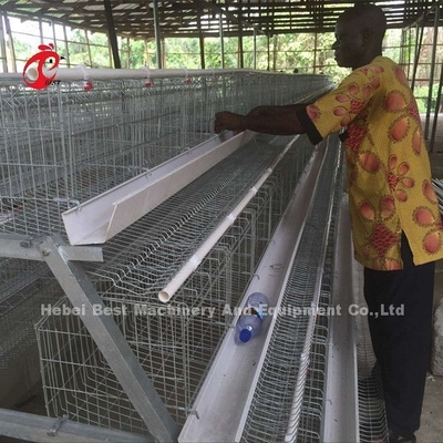 Deluxes 120 Vogel-Geflügel-Batterie-System 5 Zellen galvanisierter Doris