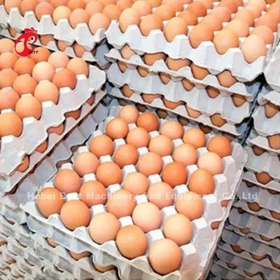 Ein Typ Schicht Batterie Käfig-System in 5000 Eier legen Hühnerfarm Mia