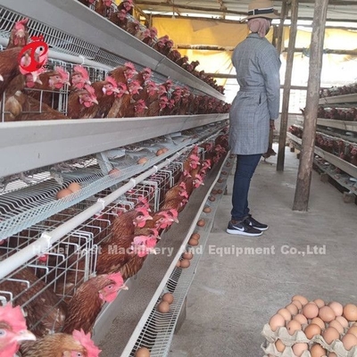 5 Tier 200 Vögel verzinktes Geflügelkäfigsystem für Hühnerfarm Sandy