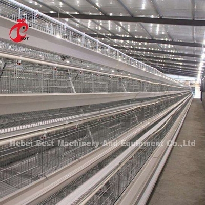 Edelstahldraht Batterie Käfig für Hühner 432cm2 Fläche Vogel Adela