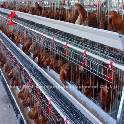 450cm2 H-Typ automatisches Hühnerbatteriekäfigsystem mit Feeder Adela