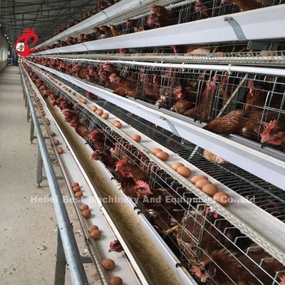 Edelstahldraht Batterie Käfig für Hühner 432cm2 Fläche Vogel Adela