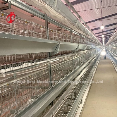 Edelstahldraht Batterie Käfig für Hühner 432cm2 Fläche Vogel Adela