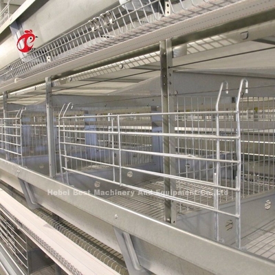2.2m Schicht Batterie Käfig System für 120-200 Hühner Adela