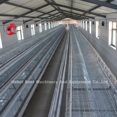 20000 Birds Chicken Farming Cage System in Birds Leging Mia