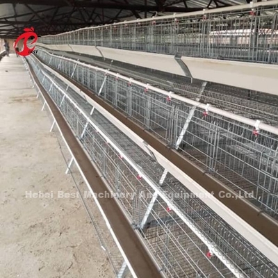 3 Tier 4 Tier 5 Tier Chicken Layer Battery Cage Modern Iris