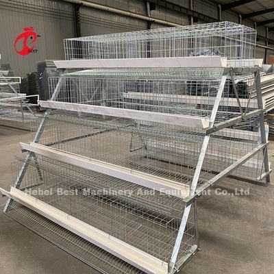 Q235 Wire Galvanized A Type Battery Cage For Layers Chicken Emily