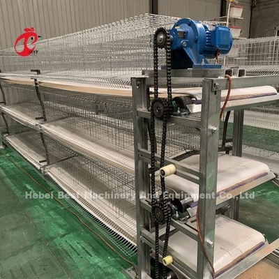 Hühner 12 Zellen Schicht Batterie Käfig System 4 Stufe für die Farm Adela