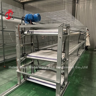 Hot Dip Galvanisiertes Geflügelkäfigsystem Weiße Schicht