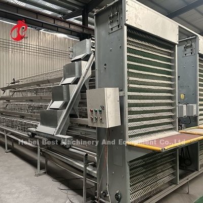 Automatische Hühnerkäfig Ausrüstung für die Fütterung Hopper-Eier Sammlungssystem für 35.000 Vögel Doris