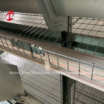 Automatische Hühnerkäfig Ausrüstung H-Rahmen 4 Stufe Aufzucht Schicht Käfig für 50.000 Farm Doris Shi