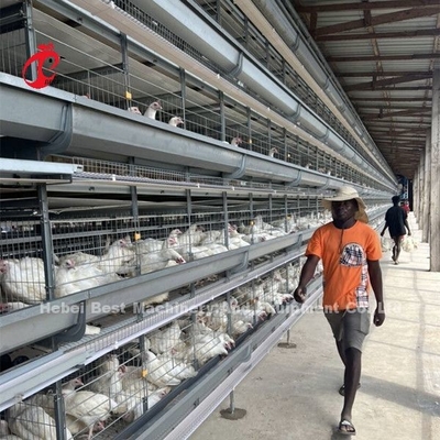 H-Typ Voll-Hot Dip Galvanized Automatische Hühnerkäfig-Ausrüstung für Hühnerfarmen Sand