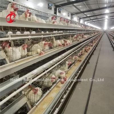 Automatische elektrische Steuerung Geflügelschicht Käfigsystem 4 Stufe Farm Design Ada