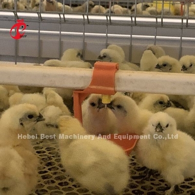 Praktische 380-Volt-Kükenbrutkäfig für Tag-Alte Schicht-Züchter-Küken in Afrika Farm Iris