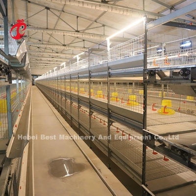 Praktische 380-Volt-Kükenbrutkäfig für Tag-Alte Schicht-Züchter-Küken in Afrika Farm Iris
