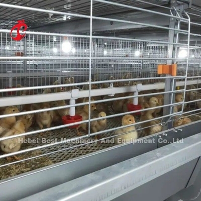 BEST Galvanisierte automatische H-Typ Hühnerfarm Broiler Käfig System Adela