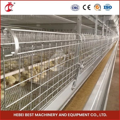 Automatische H Art einer-Tag-alt Chick Pullet Cage High Capacity Adela des langen Lebensdauer-modernen Geflügel-Käfig-