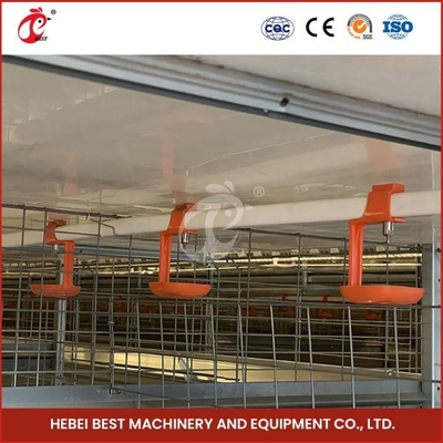 Automatische H Art einer-Tag-alt Chick Pullet Cage High Capacity Adela des langen Lebensdauer-modernen Geflügel-Käfig-