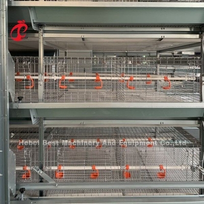 Heißer eingetauchter galvanisierter Brutkasten des Huhn4tiers sperrt System volle automatisierte Doris Shi ein