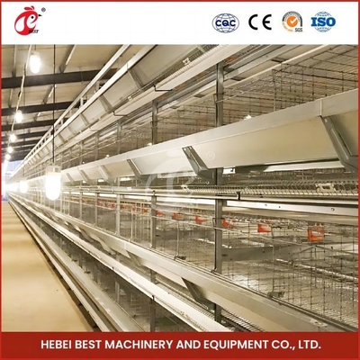 Heiße galvanisierte automatische Länge Mia Hünchen-Baby-Chick Brooder Cages 192 Vogel-1.2m
