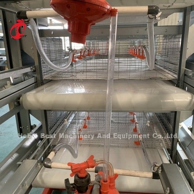 Art Chick Brooder Cage Pullet Chicks-Käfig-System Doris Shi 4 Reihen-H