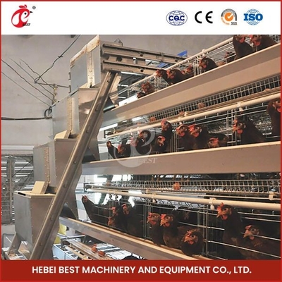 Silbernes automatisches HDG-Geflügel-Wohnungs-System für Hühnerzucht Mia