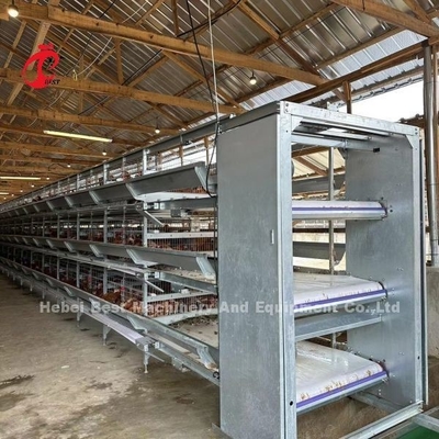Automatische Vogel-Hühnerbatterie der Schicht-160 für Geflügelfarm Emily